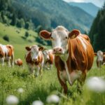 vue-photorealiste-vaches-qui-paissent-dans-nature-plein-air_23-2151294204