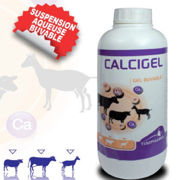 CALCIGEL