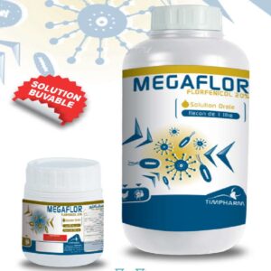 MEGAFLOR
