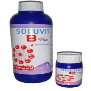 SOLUVIT B Plus