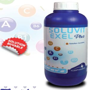 SOLUVIT EXEL PLUS
